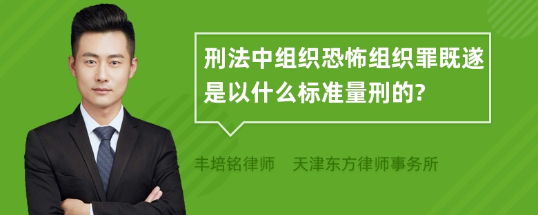 刑法中组织恐怖组织罪既遂是以什么标准量刑的?