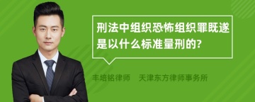 刑法中组织恐怖组织罪既遂是以什么标准量刑的?