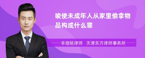 唆使未成年人从家里偷拿物品构成什么罪