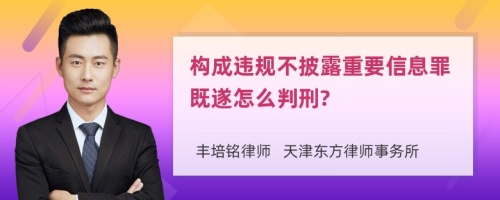 构成违规不披露重要信息罪既遂怎么判刑?