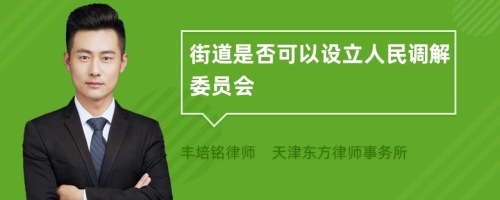 街道是否可以设立人民调解委员会