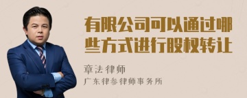 有限公司可以通过哪些方式进行股权转让