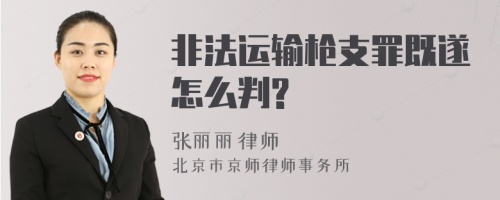 非法运输枪支罪既遂怎么判?