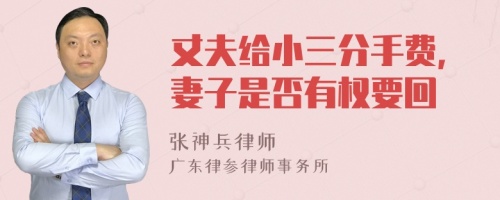 丈夫给小三分手费，妻子是否有权要回