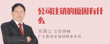 公司注销的原因有什么