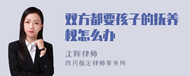 双方都要孩子的抚养权怎么办