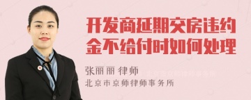 开发商延期交房违约金不给付时如何处理