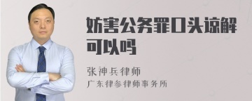 妨害公务罪口头谅解可以吗