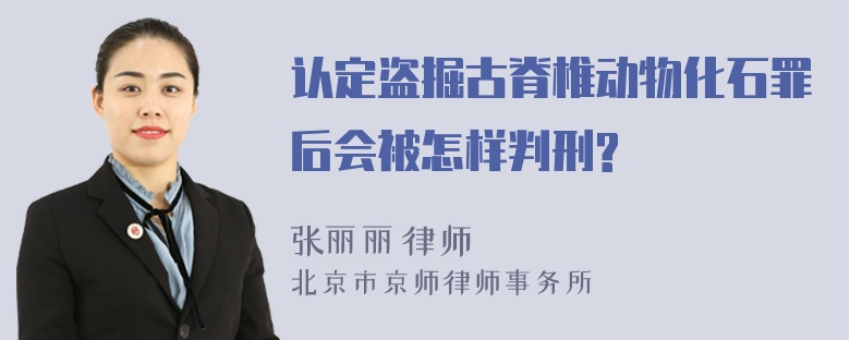 认定盗掘古脊椎动物化石罪后会被怎样判刑?