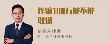 诈骗100万能不能取保