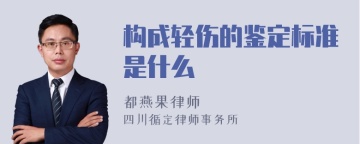 构成轻伤的鉴定标准是什么