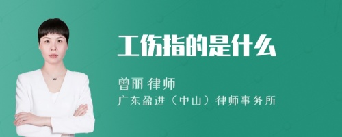 工伤指的是什么