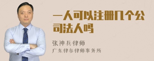 一人可以注册几个公司法人吗