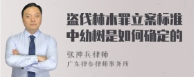 盗伐林木罪立案标准中幼树是如何确定的