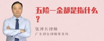 五险一金都是指什么？