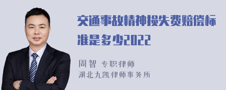 交通事故精神损失费赔偿标准是多少2022