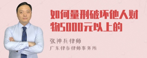 如何量刑破坏他人财物5000元以上的