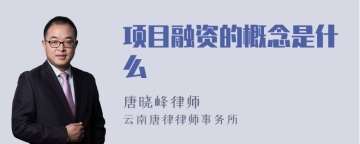 项目融资的概念是什么