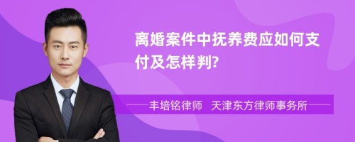 离婚案件中抚养费应如何支付及怎样判?