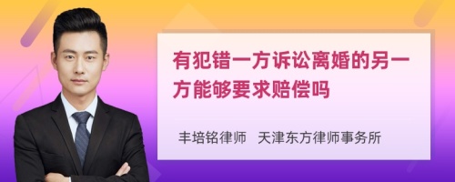 有犯错一方诉讼离婚的另一方能够要求赔偿吗