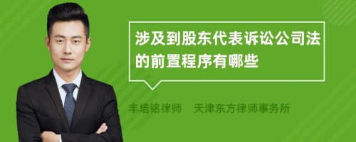 涉及到股东代表诉讼公司法的前置程序有哪些