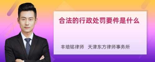 合法的行政处罚要件是什么