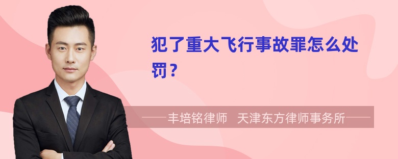 犯了重大飞行事故罪怎么处罚？