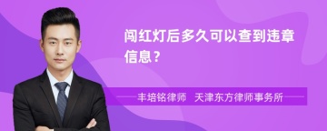 闯红灯后多久可以查到违章信息？