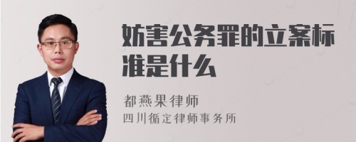 妨害公务罪的立案标准是什么