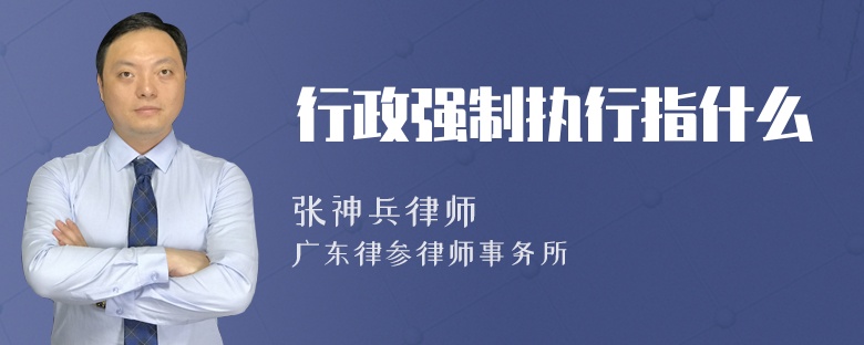 行政强制执行指什么