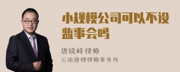 小规模公司可以不设监事会吗