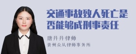 交通事故致人死亡是否能够成刑事责任