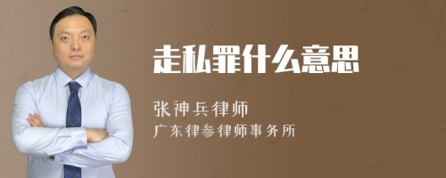 走私罪什么意思