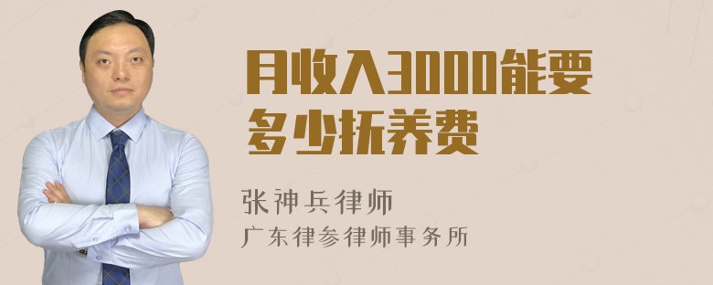 月收入3000能要多少抚养费