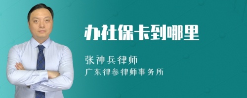 办社保卡到哪里