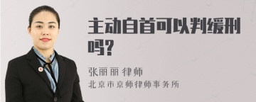 主动自首可以判缓刑吗?