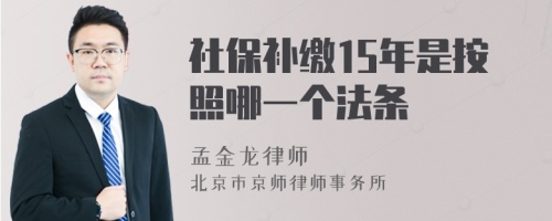 社保补缴15年是按照哪一个法条