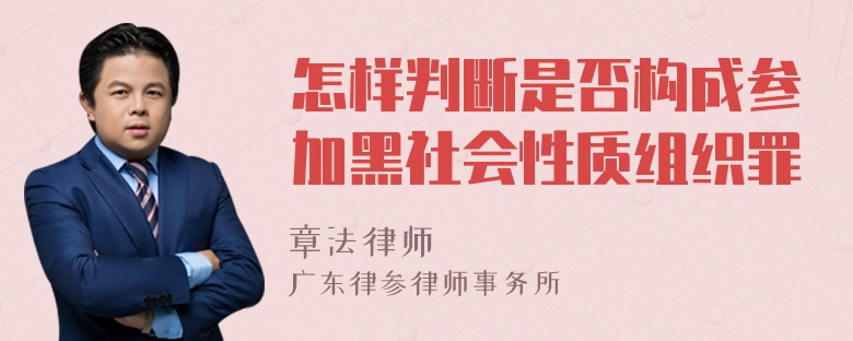 怎样判断是否构成参加黑社会性质组织罪