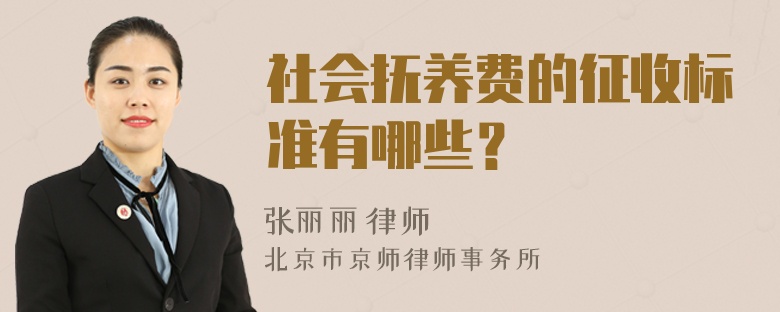 社会抚养费的征收标准有哪些？