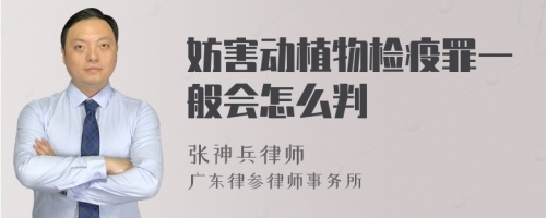 妨害动植物检疫罪一般会怎么判