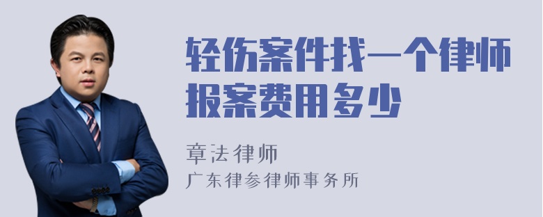 轻伤案件找一个律师报案费用多少