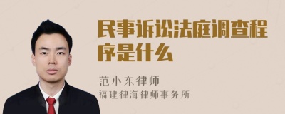 民事诉讼法庭调查程序是什么