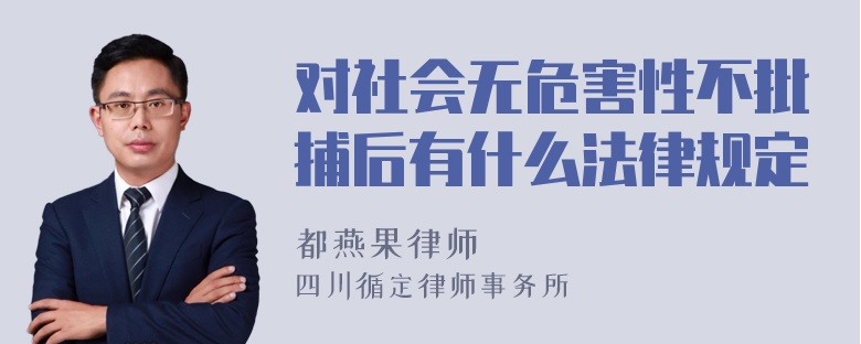 对社会无危害性不批捕后有什么法律规定