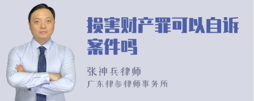 损害财产罪可以自诉案件吗