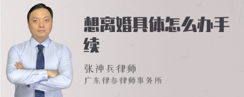 想离婚具体怎么办手续