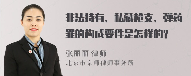 非法持有、私藏枪支、弹药罪的构成要件是怎样的?