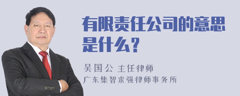 有限责任公司的意思是什么？