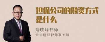 担保公司的融资方式是什么