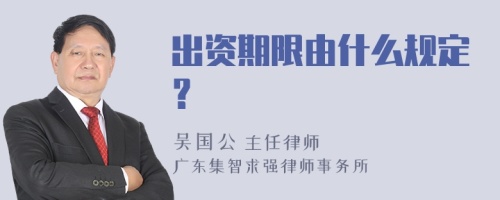 出资期限由什么规定？