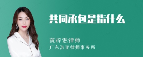 共同承包是指什么